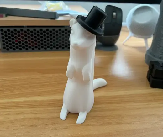 Fancy Ferret - Frettchen mit Hut