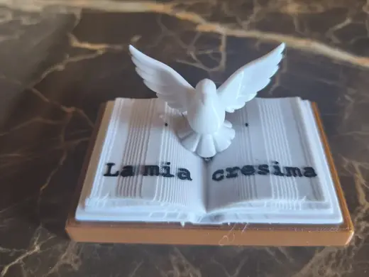 bibbia con colomba per la cresima