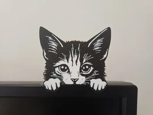 Cat on monitor with stand