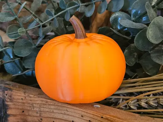 Kürbis (natürlich) – Herbst & Halloween Deko