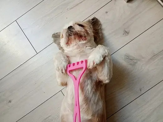 Dog Scratcher & Massage Tool