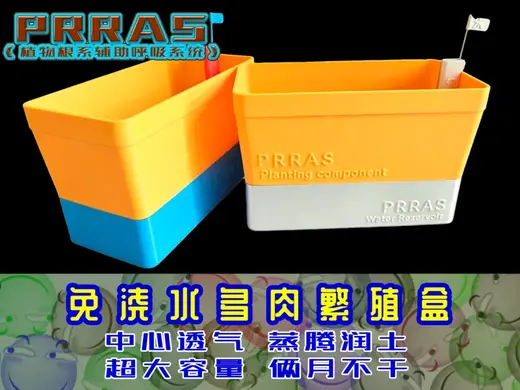 【PRRAS】透气懒人储水花盆繁殖花盆创意花盆生石花花盆大容量花盆托自动浇水花盆