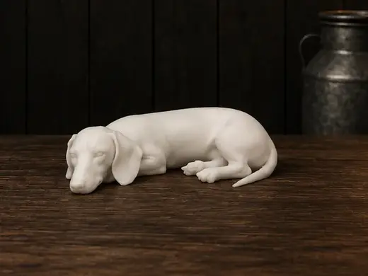 Dachshund - Animal - Decor - Dog