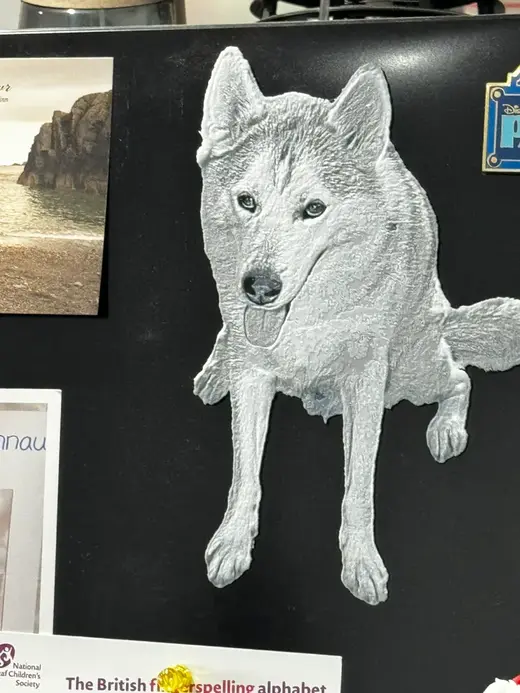Siberian Husky Hue Forge