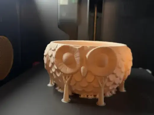 Owl Bowl