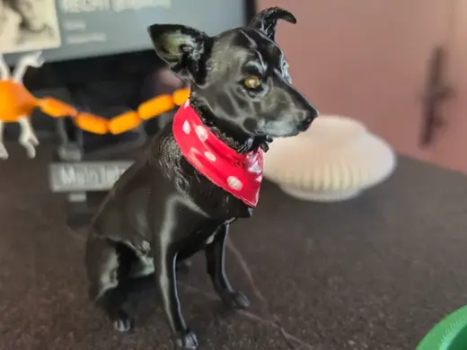 Custom Dog Figurine – Sissy (from Photo)