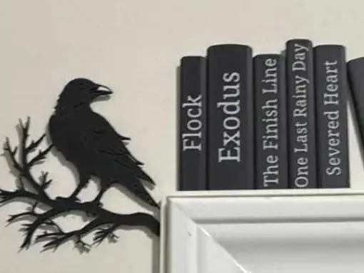The raven Door hanger