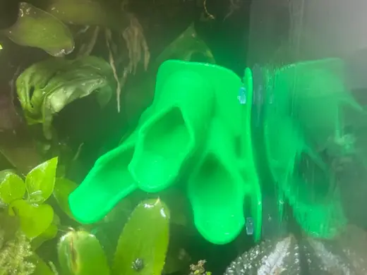 Side Mounted Tadpole Rearing Pool