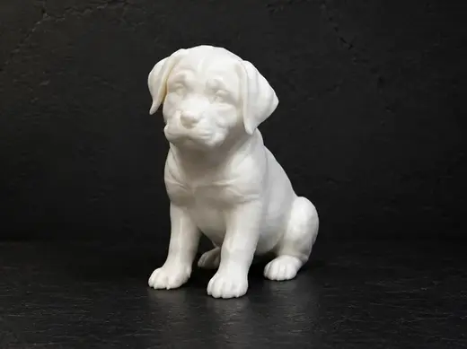 Rottweiler Puppy - Dog - Animal