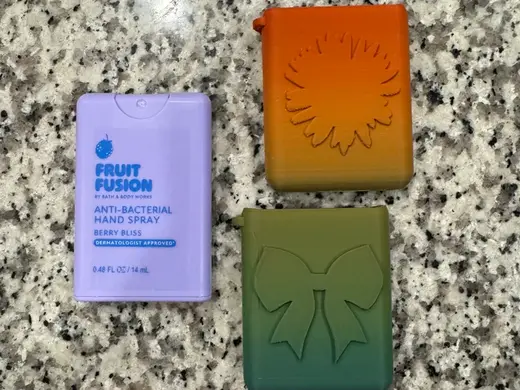 Fruit Fusion BBW pocket sanitizer