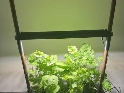 AUK Mini Grow Light – Rod Extender Holder
