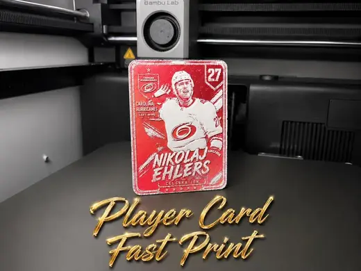 Nikolaj Ehlers Player Card