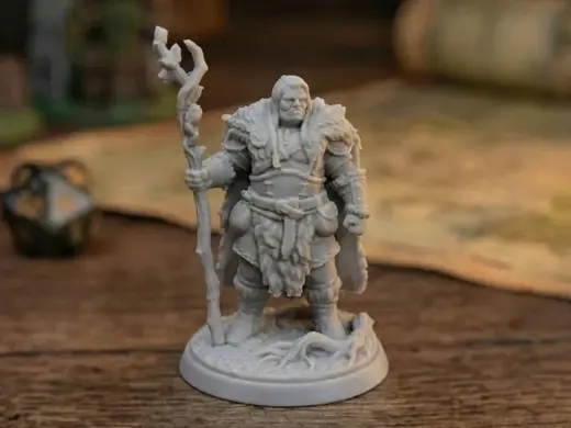 The Druid - Keeper of the Grove