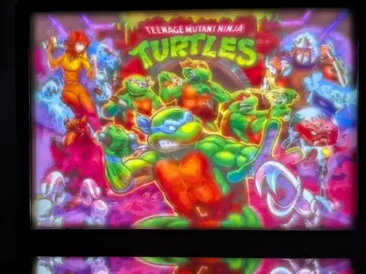 TEENAGE MUTANT NINJA TURTLES COLLAGE LITHO