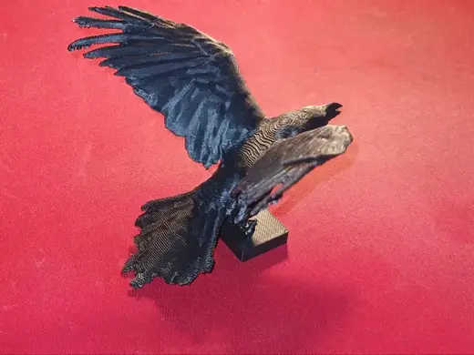 Rabe, Vogel