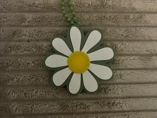 Daisy can tab opener