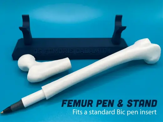 Femur (Thigh Bone) Pen