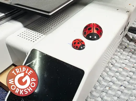Tiny 3 Color Ladybug - Scalable No Supports