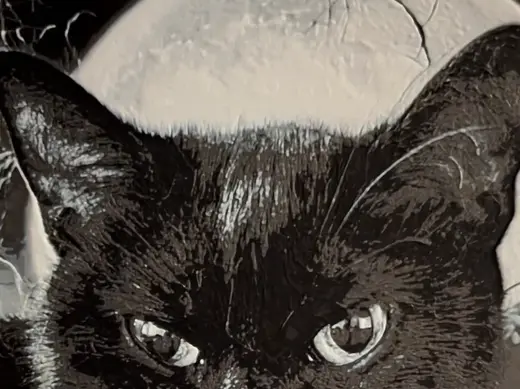 Black Cat HueForge Portrait – 3 Color Print
