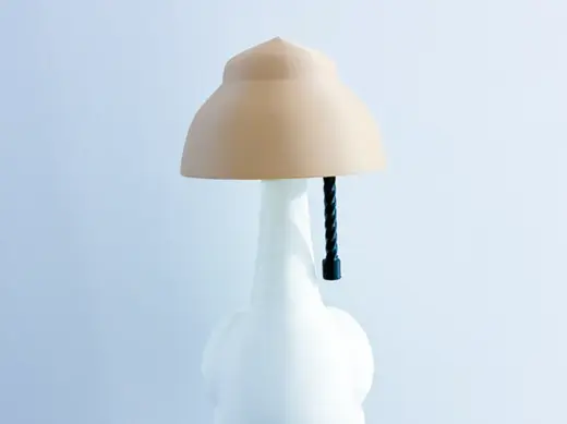 Lamp Shade Desk Goose Gear
