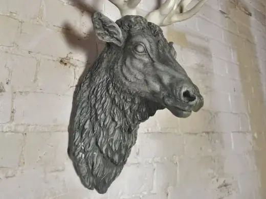 Deer Head
