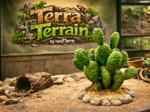 Terra Terrain – Sabra Kaktus