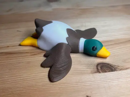 Cute laying down mallard duck / magnet / no AMS