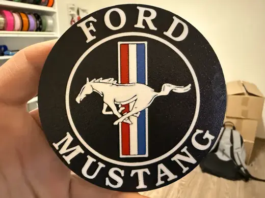 Ford Mustang coaster