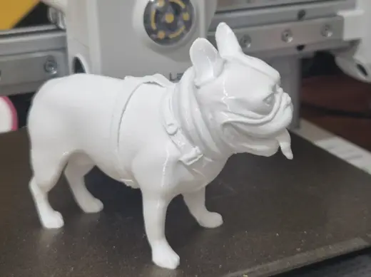 Bulldog Francês