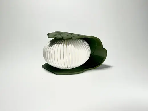 Kashiwa-mochi_light