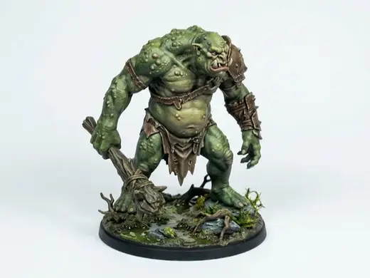 Troll - DnD Miniature (50mm)