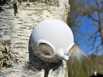 nichoir boite a poil mésange