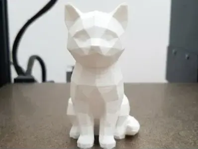 Cute Cat