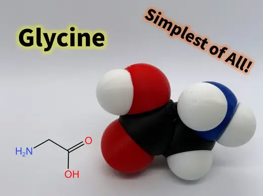 Glycine molfidget with rotatable bonds