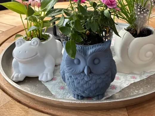 Olivia the Owl Planter - Decorative Plant Pot