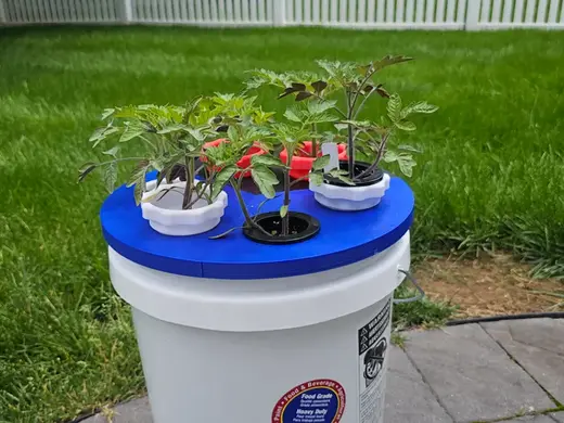 5-Gallon Lid with 41mm and 80mm hole Kratky Lids