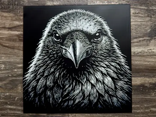 Raven Wildlife Series