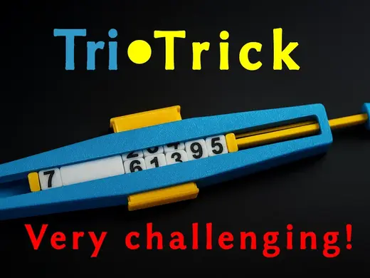 Tri‑Trick Sliding Puzzle – 3D‑Printed Replica