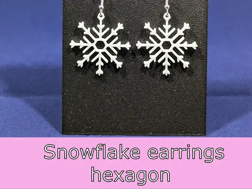 Snowflake earrings - hexagon