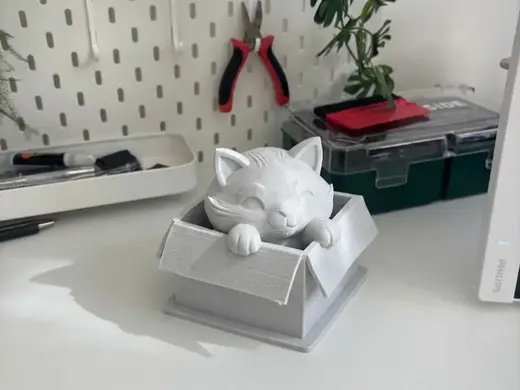 Cute Cat in a Box | If I Fits I Sits Figurine