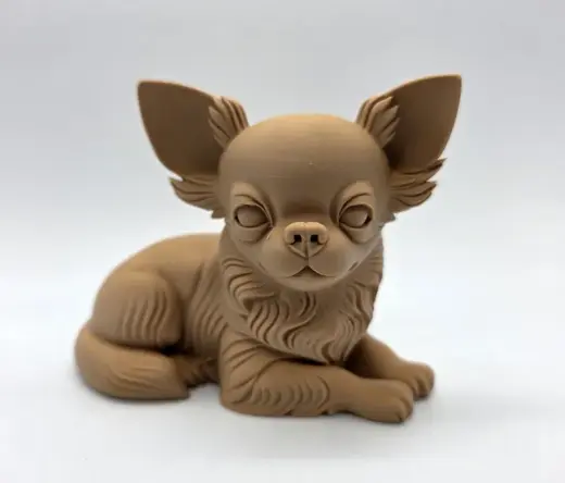 Laying Long Haired Chihuahua