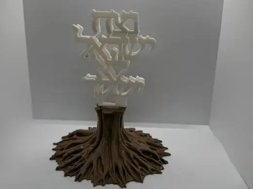 Netzah israel - Anamorphic Israel Map Art