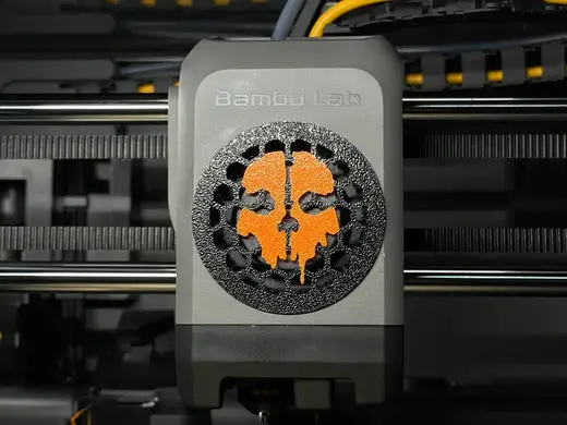 Skull COD Fan Cover for P2S