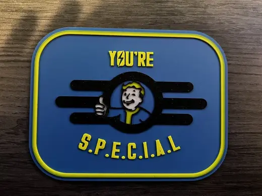 You're S.P.E.C.I.A.L - Fallout