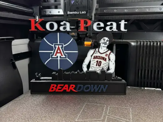 NCAA - Arizona Wildcats Koa Peat display