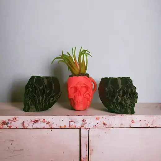 Skull Planter with drain hole