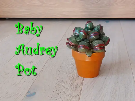 Audrey 2 POT the maw of venus