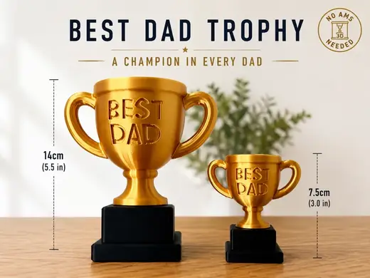 Best Dad Trophy – Birthday Day Gift -NO AMS NEEDED