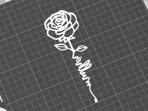 Rose Women Day