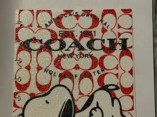 Coach Snoopy 8 disc notebook/planner cover